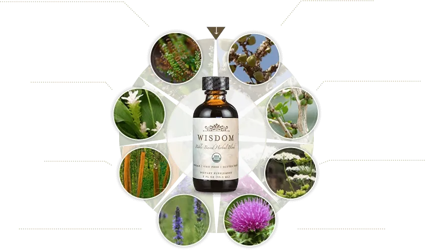 Before and after results from using Wisdom biblical herbal supplement